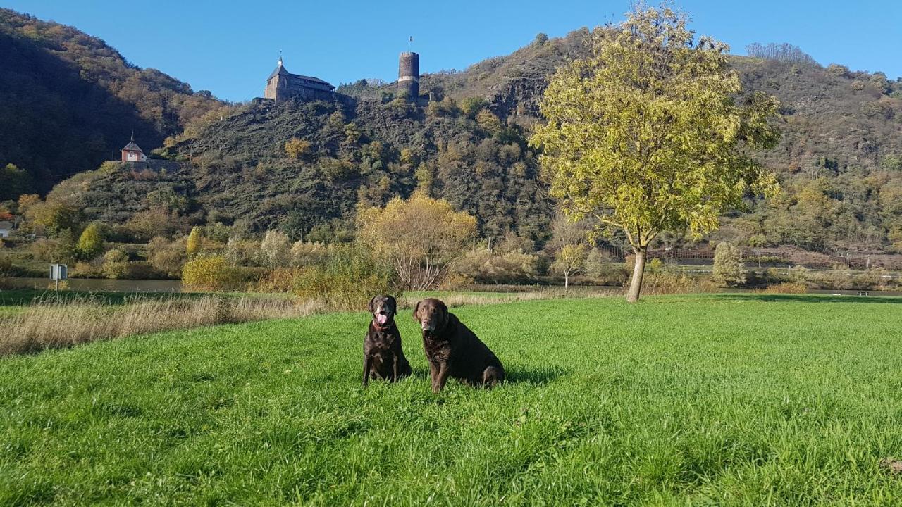 Ferienhaus Leopold Mit Burgblick An Der Mosel Burgen  Buitenkant foto