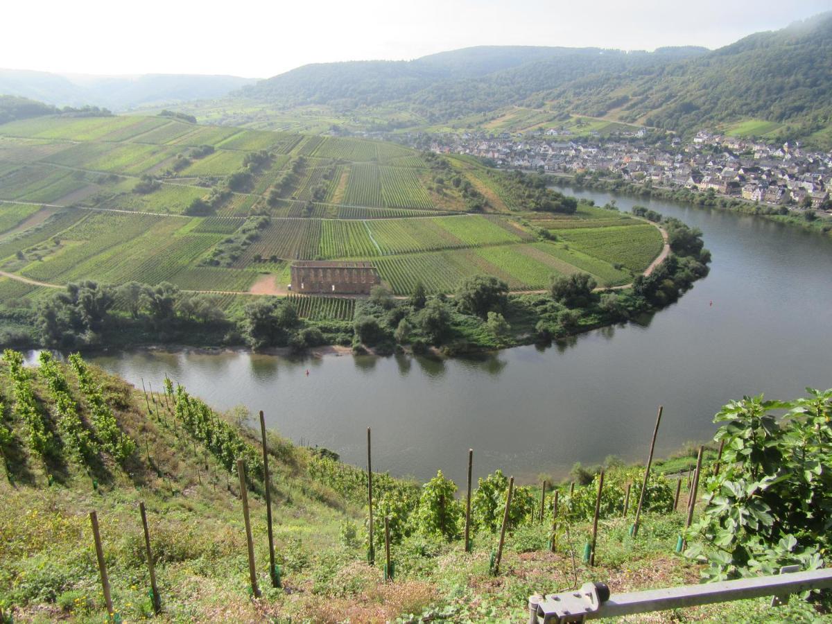 Ferienhaus Leopold Mit Burgblick An Der Mosel Burgen  Buitenkant foto