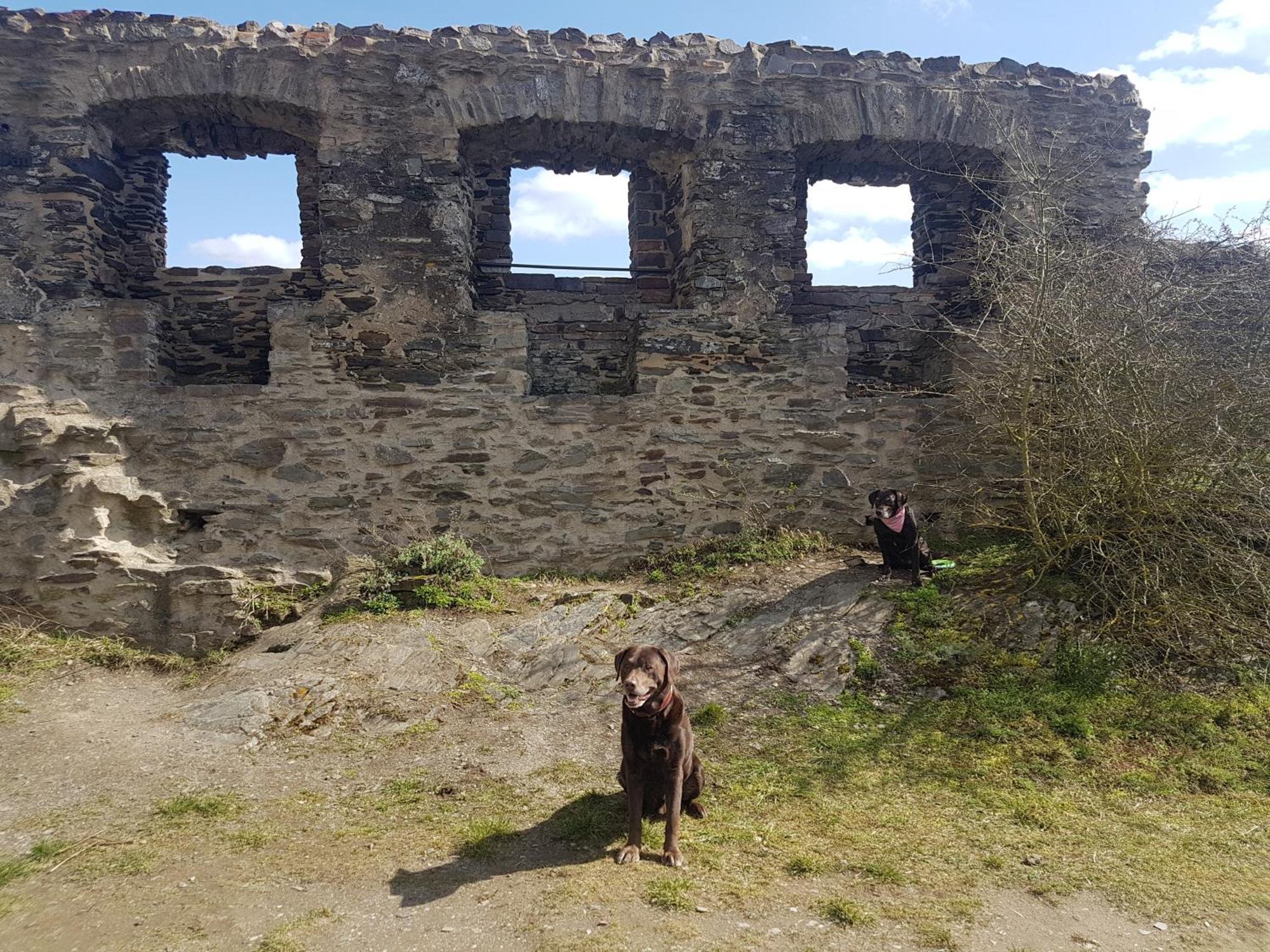 Ferienhaus Leopold Mit Burgblick An Der Mosel Burgen  Buitenkant foto